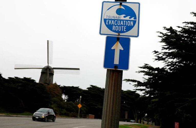 Цунамі після землетрусу на Камчатці досягло берегів США