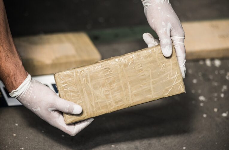 У Болгарії вилучили рекордну партію кокаїну на кордоні з Туреччиною