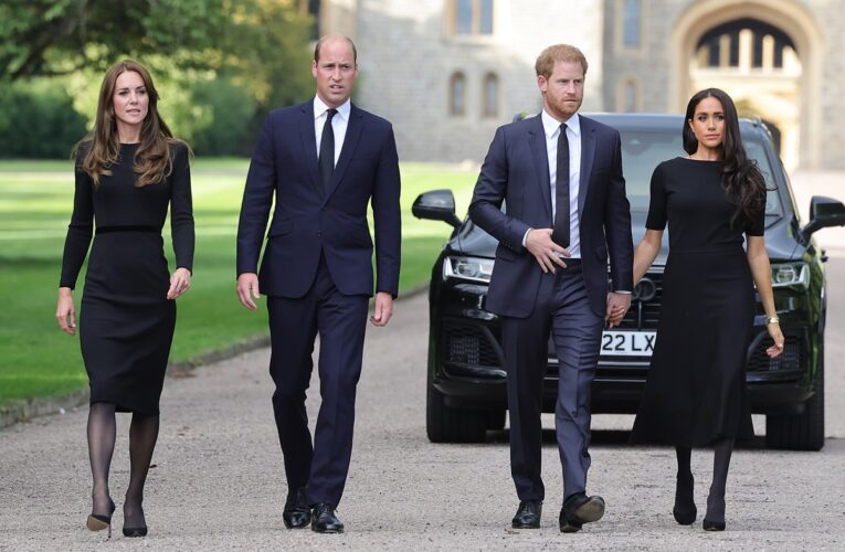 У Британії померла 20-річна двоюрідна сестра принців Вільяма та Гаррі