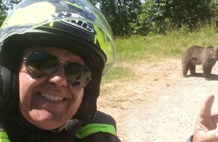 У Карпатах ведмідь загриз туриста-мотоцикліста