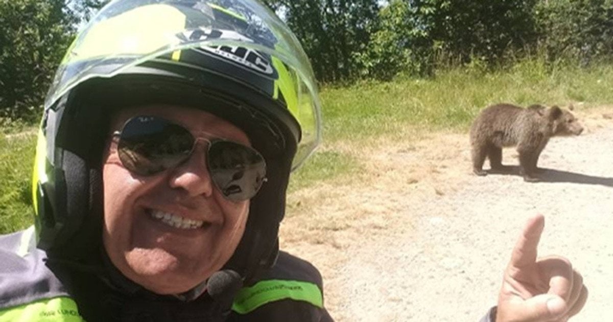 Новини світу - У Карпатах ведмідь загриз туриста-мотоцикліста