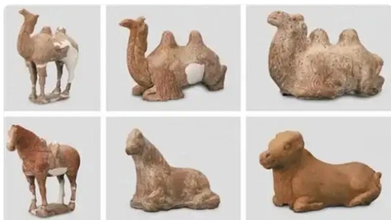 У Китаї знайдено могилу принца-заручника віком понад 1200 років