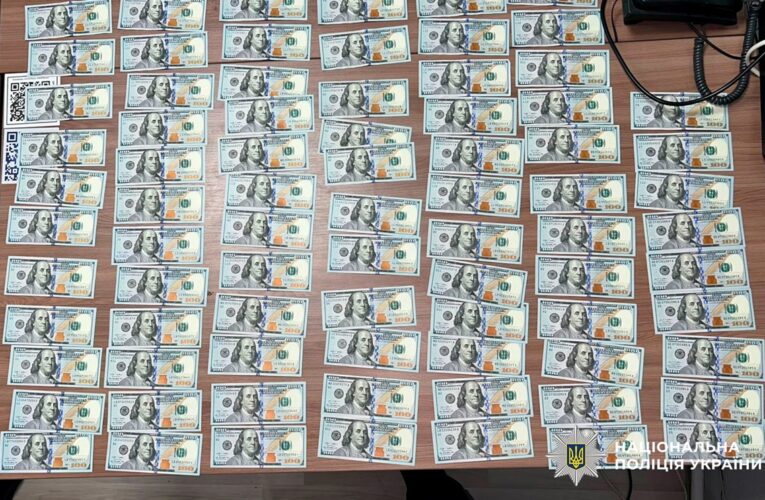 У Києві затримали жінку, яка на першому побаченні викрала майже $50 тис