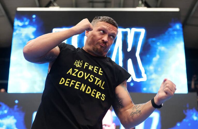 Усик і Дюбуа показали свою готовність: відео відкритого тренування