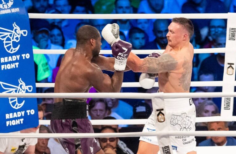 Усика в реванші Дюбуа не перебороти: Гвоздик дає прогноз на бій