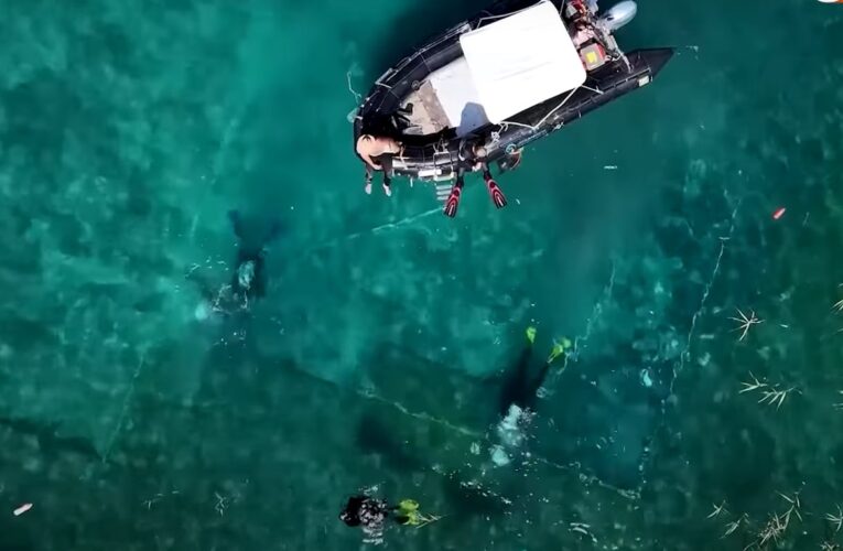 В Албанії знайшли найдавніше озерне поселення на континенті