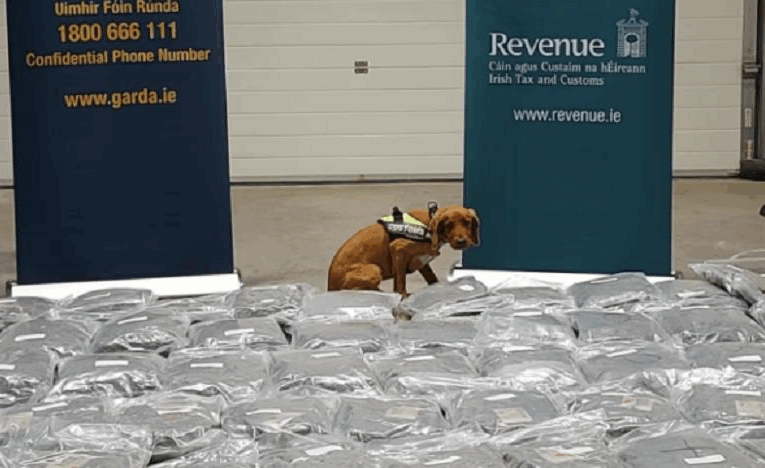 В Ірландії у вантажівці знайшли канабіс вартістю понад 2,1 млн євро