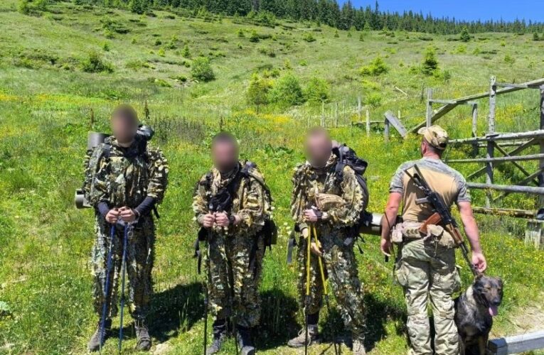 В Карпатах службовий пес допоміг затримати ухилянтів