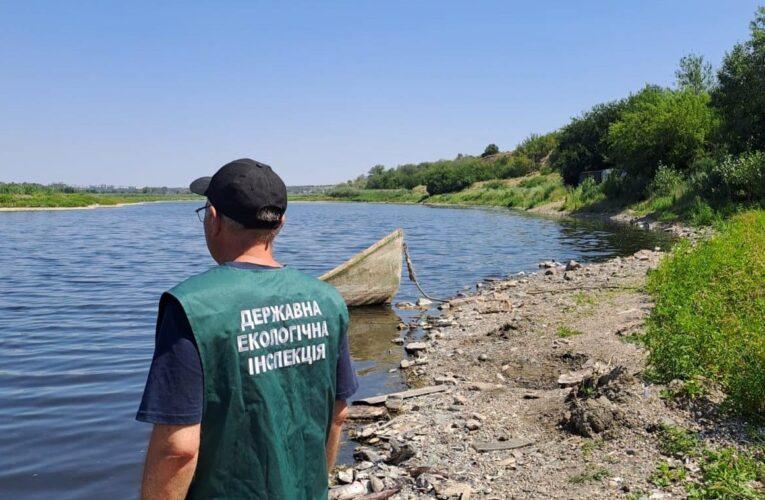 В озері на Запоріжжі зафіксували масовий мор риби