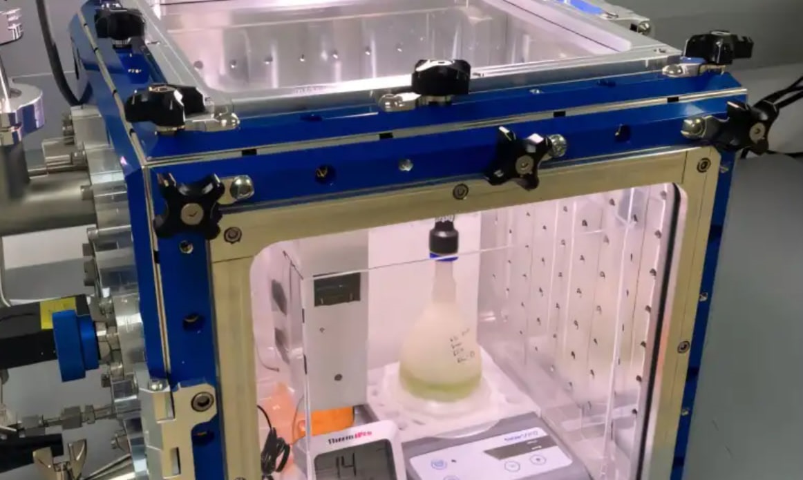 Технології - Вчені виростили водорості в умовах Марса