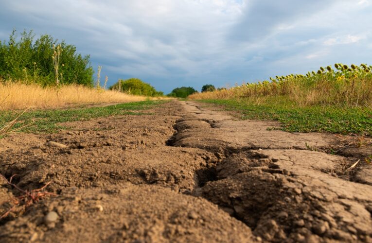 Засуха на Херсонщині досягла критичного рівня