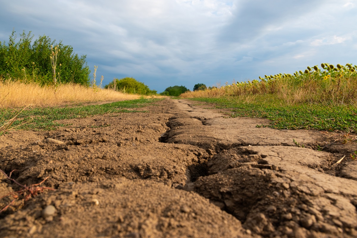 Новини України - Засуха на Херсонщині досягла критичного рівня