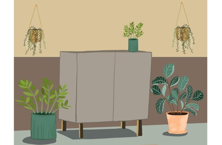 Зелений оазис у розпалі літа: як кімнатні рослини рятують від спеки та стресу