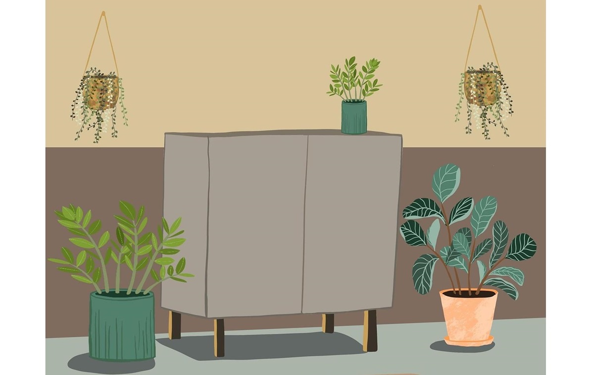 Новини бізнесу - Зелений оазис у розпалі літа: як кімнатні рослини рятують від спеки та стресу