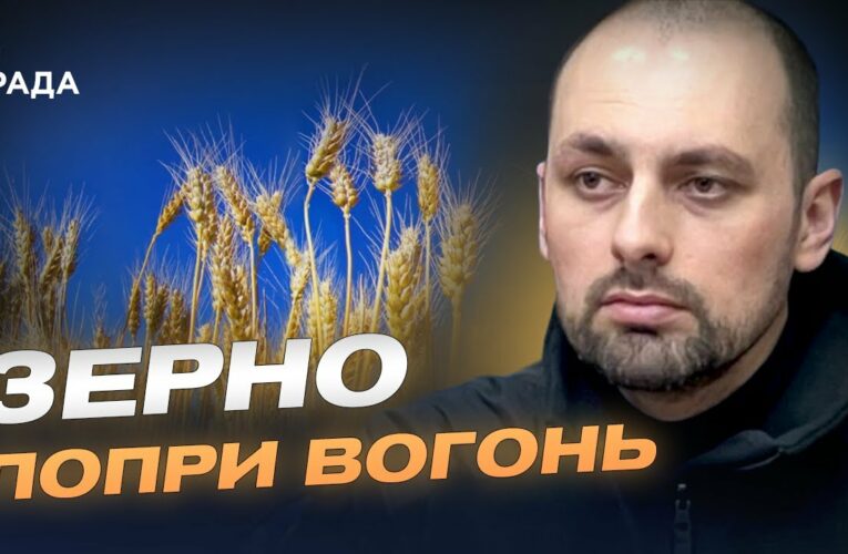 Українське зерно на світових ринках: результати та перспективи | Олександр Семирга