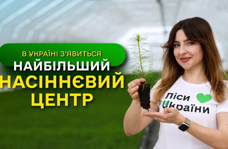 НАЙБІЛЬШИЙ в Україні ЗАВОД з виробництва СІЯНЦІВ / ДП “Ліси України” виконує програму ЗЕЛЕНА КРАЇНА