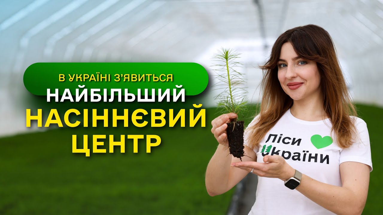 НАЙБІЛЬШИЙ в Україні ЗАВОД з виробництва СІЯНЦІВ / ДП "Ліси України" виконує програму ЗЕЛЕНА КРАЇНА