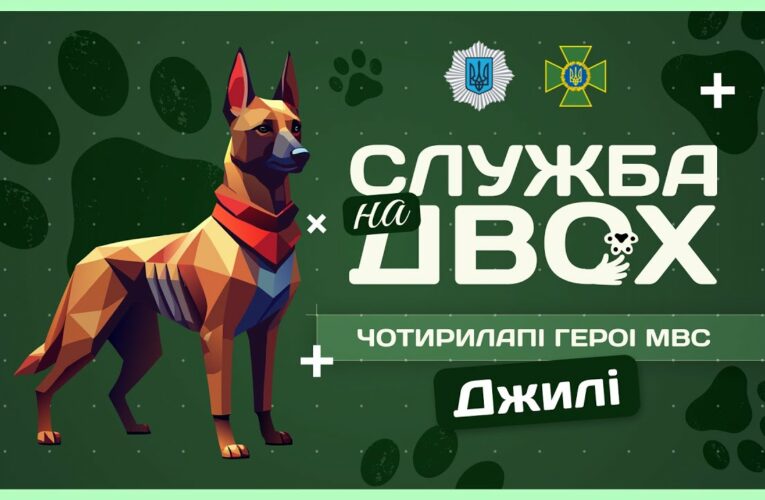 🛂 ДЖИЛІ – собака-прикордонниця після окупації | Служба на двох