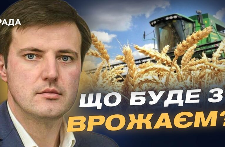 Українські фермери під час війни: головне про врожай і державну допомогу | Тарас Висоцький