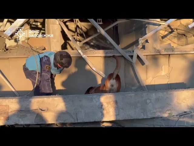 Запоріжжя: внаслідок ворожого удару постраждали 12 людей, одну особу врятували надзвичайники