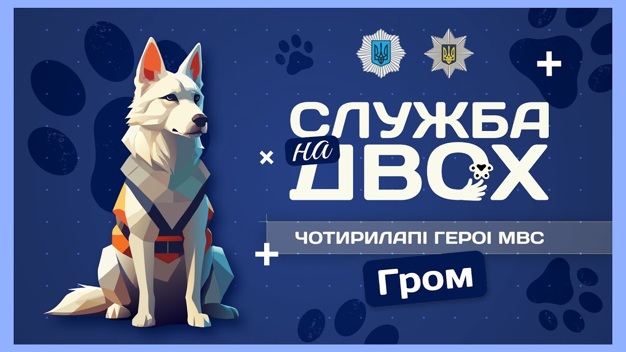 ⚡️ГРОМ - ідеальний пес-поліцейський та друг дітей | Служба на двох
