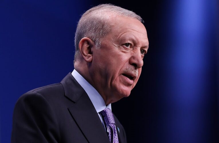 Ердоган зробив заяву щодо тристоронніх переговорів із Зеленським