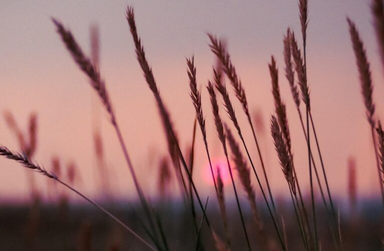 Гороскоп для всіх знаків зодіаку на 19 серпня 2025 року