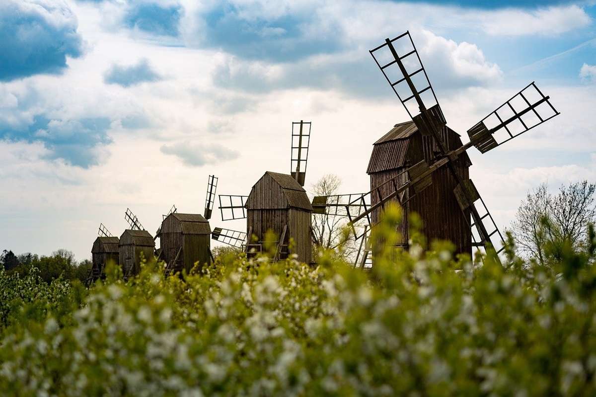 Новини культури - Гороскоп для всіх знаків зодіаку на 20 серпня 2025 року