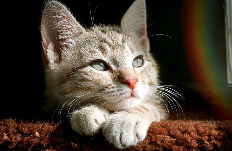 Гороскоп для всіх знаків зодіаку на 23-24 серпня 2025 року