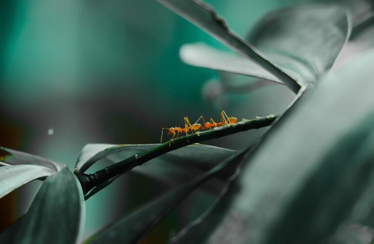 Гороскоп для всіх знаків зодіаку на 26 серпня 2025 року