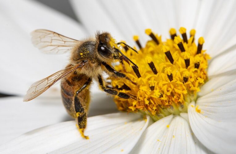 Гороскоп для всіх знаків зодіаку на останні вихідні серпня 2025 року