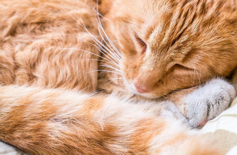 Гороскоп для всіх знаків зодіаку на вихідні 16-17 серпня 2025 року