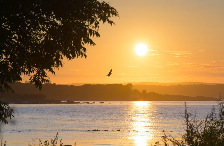 Липень став третім найспекотнішим за всю історію спостережень