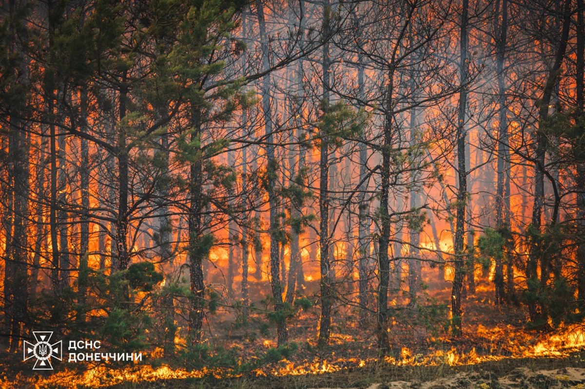 Новини України - На Донеччині ліквідували масштабну лісову пожежу