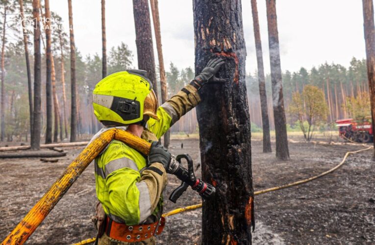 На Харківщині ліквідували масштабну лісову пожежі