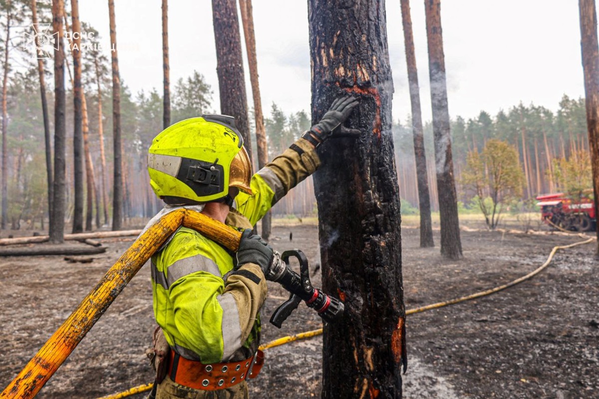 Новини України - На Харківщині ліквідували масштабну лісову пожежі