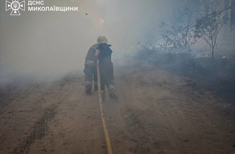 На Миколаївщині вигоріло 93 гектари території