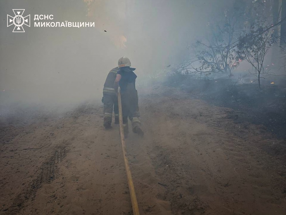 Новини України - На Миколаївщині вигоріло 93 гектари території