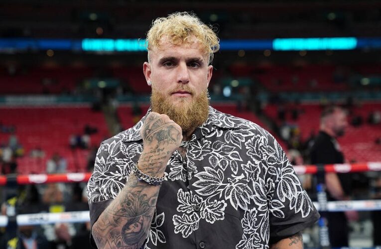 На виставковий бій погодилися Джервонта Девіс і Джейк Пол