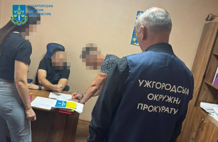 На Закарпатті посадовець міськради продав землю на 70 млн дешевше