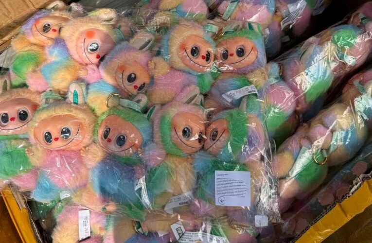 На Закарпатті вилучили 7,5 тис. контрабандних Лабубу