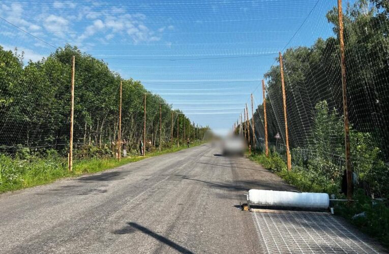 Над дорогами Сумщини зводять “антидронові тунелі”