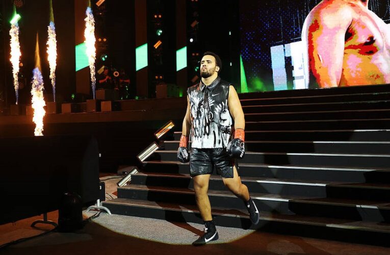 Не Усик: Ортіс запропонував іншого суперника для Ітауми