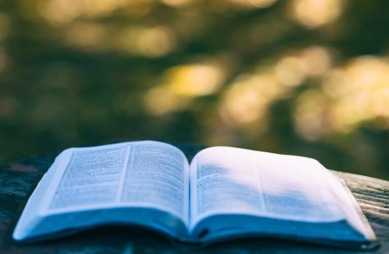 Нові слова з TikTok потрапили до Кембриджського словника