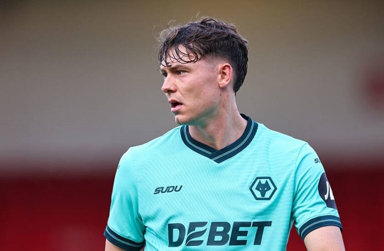 Ньюкасл намагається переманити форварда з АПЛ