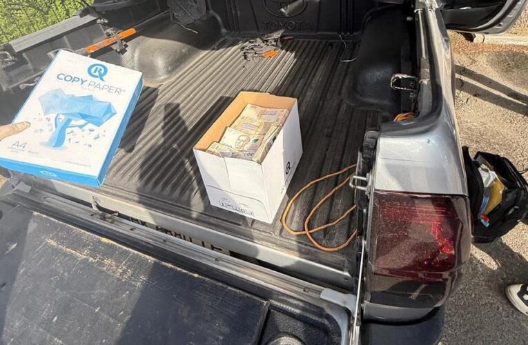 Посадовця Лісів України затримали за хабар у 3 млн