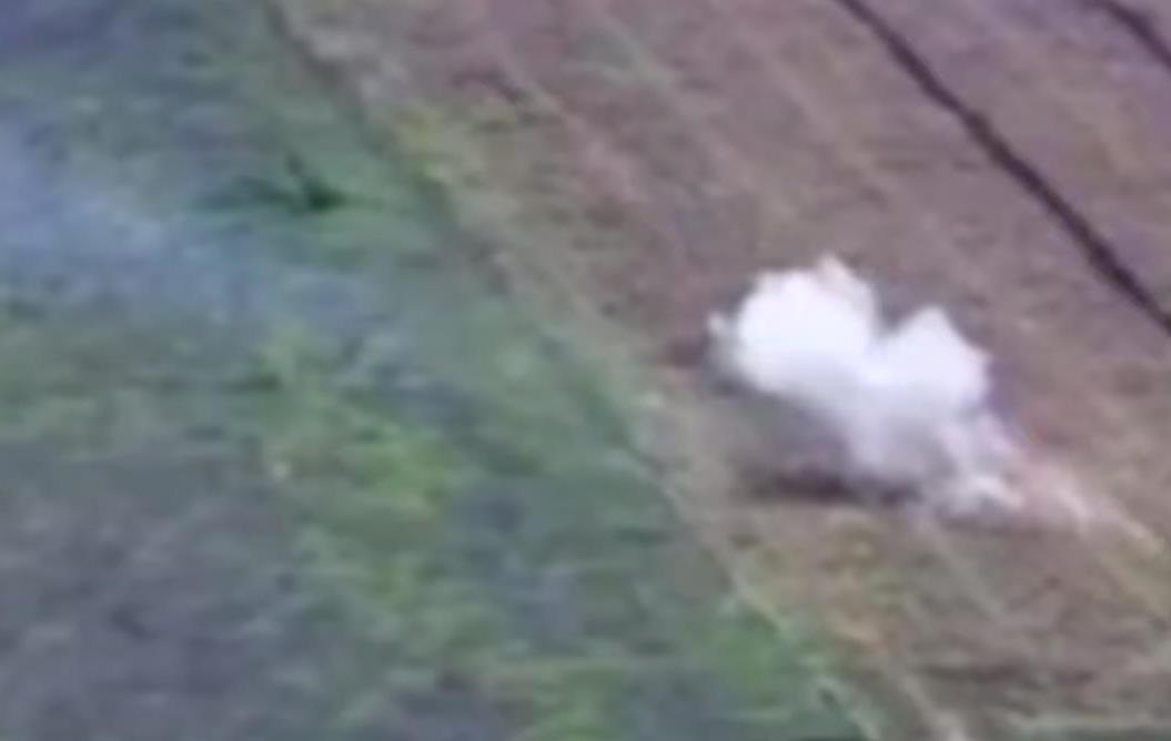 Новини України - Прикордонники знищили колону росіян на мотоциклах