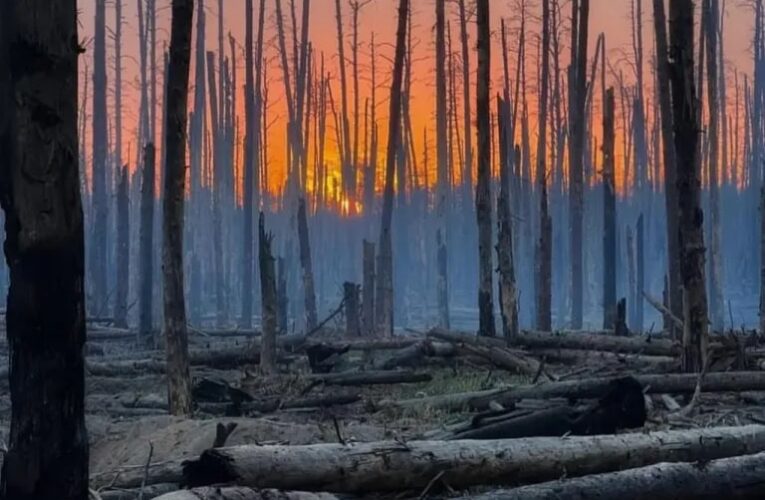 РФ задіює дрони для наступу в лісах Донбасу – ISW