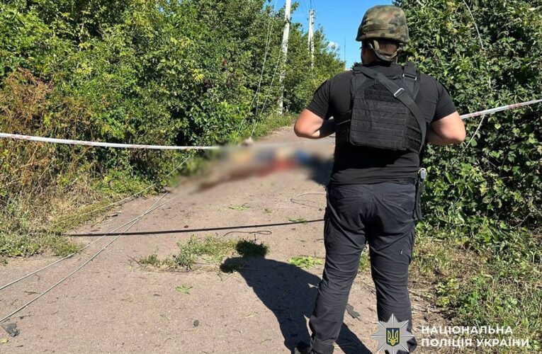 Росіяни вбили дроном цивільного на Чернігівщині