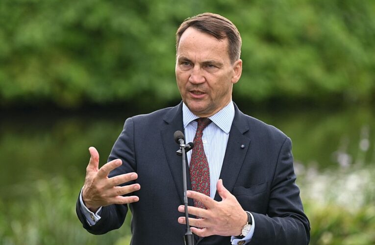 Сікорський анонсував нові оборонні пакети Україні